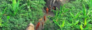 Des chercheurs d'or massacrent une tribu inconnue en Amazonie