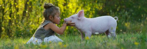 EDITO – Vegans vs. non vegans : un avenir sans aucun élevage est-il souhaitable ?