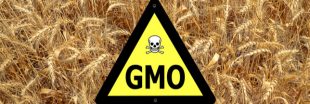 Bayer cède une partie de son activité à BASF pour racheter Monsanto