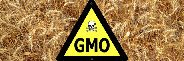 Bayer cède une partie de son activité à BASF pour racheter Monsanto