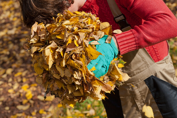 jardin d'automne, que planter en octobre, jardin octobre