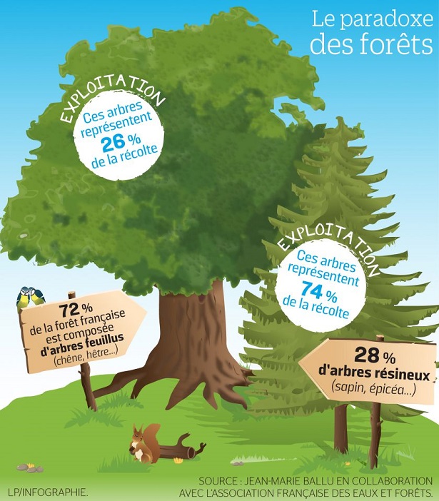 foret francaise