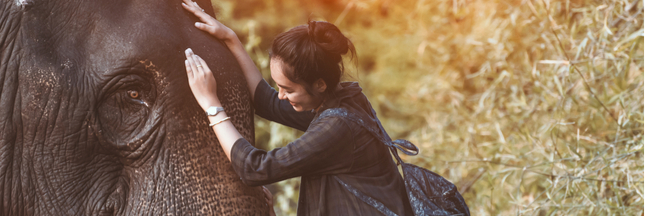Ganesha Park : écovolontariat et éléphanthérapie en Thaïlande Ganesha Park : écovolontariat et éléphanthérapie en Thaïlande