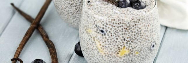 Graines de chia : petites, mais pleines de ressources !