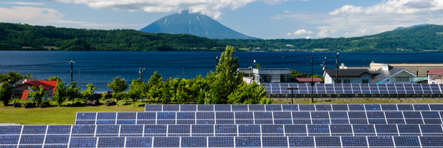 Au Japon, on fait pousser des champignons sous les panneaux solaires Au Japon, on fait pousser des champignons sous les panneaux solaires