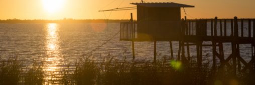 Où se trouveront les 4 nouveaux parcs naturels régionaux en France ?