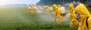 Pesticides : l'ONG Générations Futures conteste l'autorisation de deux produits