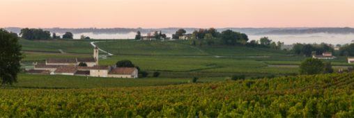 Cet automne, les routes des vins se mettent au vert