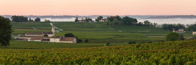 routes des vins, saint emilion, bordeaux