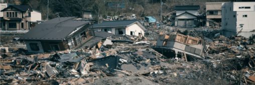 Tsunami de 2011 au Japon : 289 espèces ont traversé le Pacifique