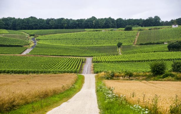 routes des vins, champagne
