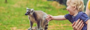 Visite au zoo : les bons comportements à adopter Visite au zoo : les bons comportements à adopter