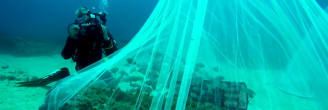 Le but de cette entreprise française ? Réparer et repeupler les océans