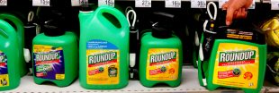 Fin du glyphosate dans trois ans : la France gagnera-t-elle la partie ?