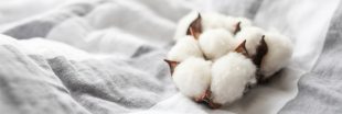 Coton équitable : à quels labels se fier ?