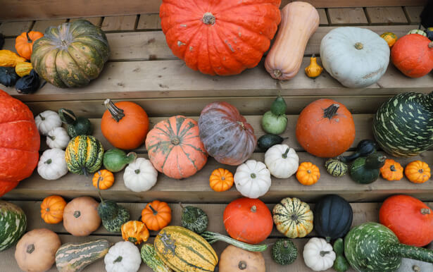 légumes novembre