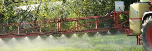 Déception amère et colère : l'utilisation du glyphosate relancée pour cinq ans