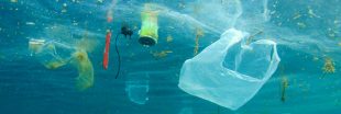 RecycleToCoin : l'appli blockchain pour lutter contre le plastique dans les océans