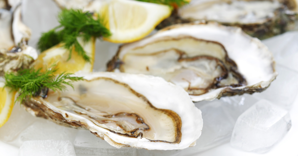 Les secrets d'élevage des huîtres Marennes-Oléron