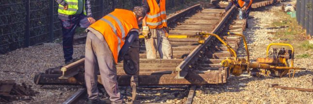 Créosote : une substance dangereuse toujours autorisée dans l'Union Créosote : une substance dangereuse toujours autorisée dans l'Union