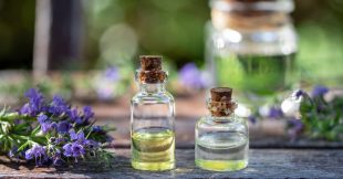 Connaissez-vous l'hysope, l'herbe sacrée ? Connaissez-vous l'hysope, l'herbe sacrée ?