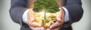 Huit grandes entreprises dégainent 50 millions d'euros pour le climat