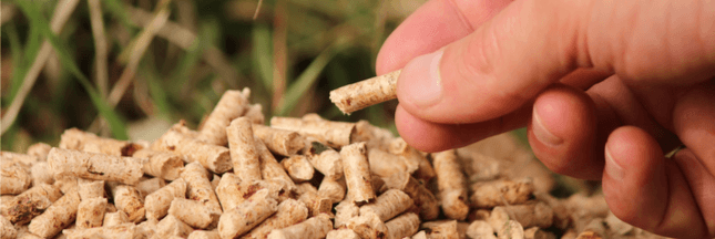 Le marché du granulé de bois flambe en 2017