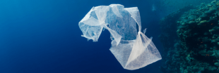 Pollution plastique des océans : l'ONU passe à l'attaque