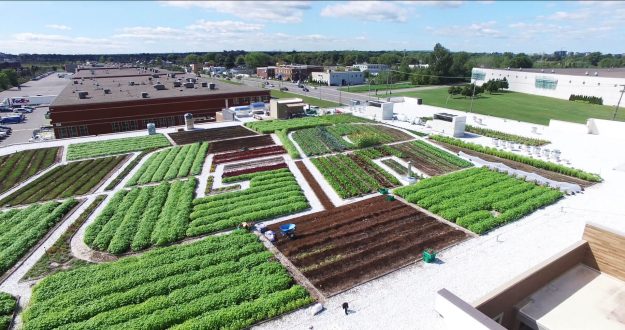 potager toit, supermarché