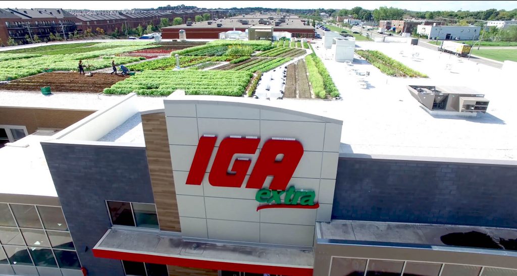 Canada : un supermarché cultive ses propres légumes directement sur son toit