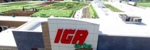 Canada : un supermarché cultive ses propres légumes directement sur son toit