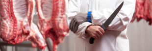 Maltraitance dans les abattoirs : vidéosurveillance ou formation ? Maltraitance dans les abattoirs : vidéosurveillance ou formation ?
