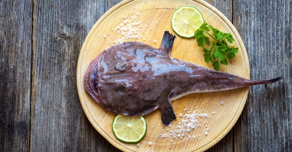 Vous consommez de la baudroie ou lotte de mer ? Attention