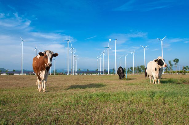 filière éolienne en France, énergie éolienne, France