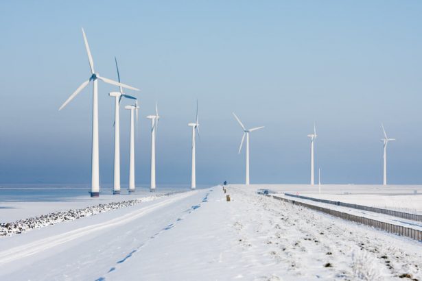 énergies renouvelables, Allemagne