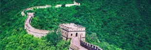 La Chine se lance dans la reforestation
