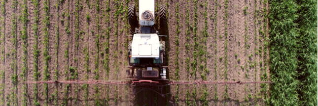 Glyphosate : des métaux lourds détectés dans les herbicides