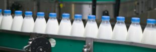 Focus sur les géants de l'industrie laitière française