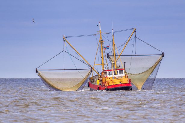 interdiction pêche électrique