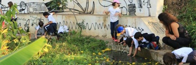 São Paulo, la ville qui n'aime pas ses rivières