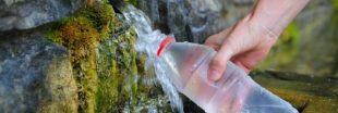 La 'raw water', l'eau non filtrée qui cartonne aux États-Unis