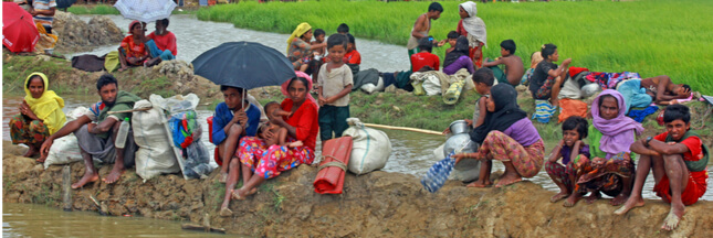 L’exil des Rohingyas entraîne un désastre écologique