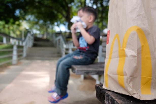 McDonald's, menu enfant, cheeseburger, happy meal