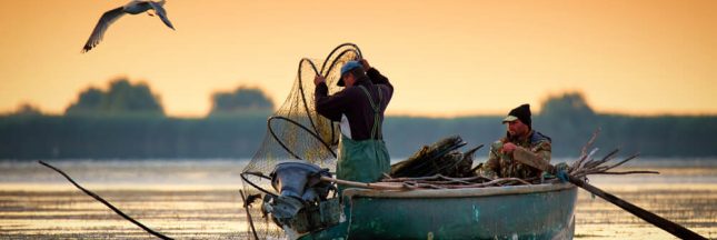 La pêche artisanale aussi dévastatrice que la pêche industrielle