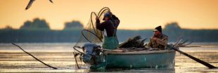 La pêche artisanale aussi dévastatrice que la pêche industrielle