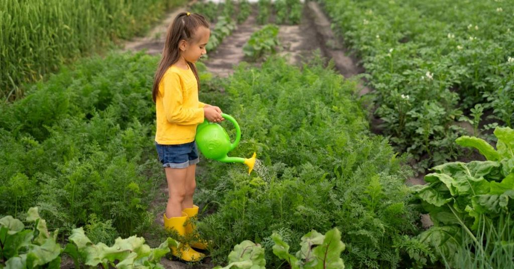 Idée reçue : la bouillie bordelaise c’est bon pour le jardin