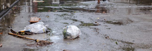 Crue de la Seine : les déchets s’accumulent