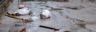 Crue de la Seine : les déchets s'accumulent