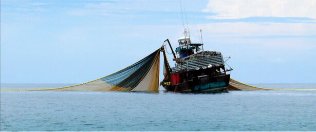 ghost fishing