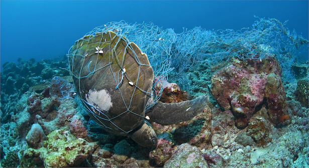 ghost fishing